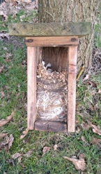 471ee858-9b0b-45f6-8385-b562974f7fd3