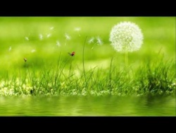 Muzyka Uzdrawiająca