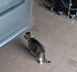 80b94918-ed93-4011-819f-59ff510f40c9