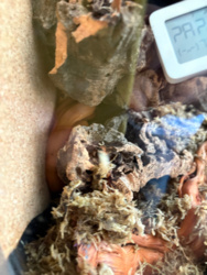 1797846d-57f9-4cbd-b006-c60d93f585fc