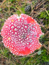 55889443-666b-4d05-990e-ebd0f33946ee