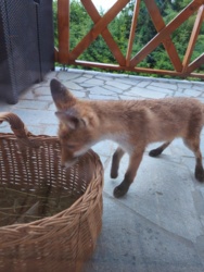 205ff1f3-7b76-4323-8c57-c4819ee2b75b