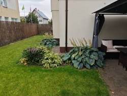 28ee2edc-cf07-45f0-8d7f-37e987559931