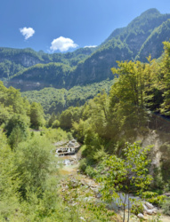 f42e2698-8894-4259-b971-f214e7e39407