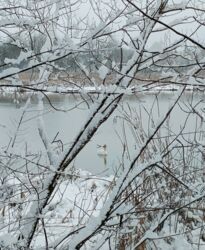 cc81a9d3-eb3b-405c-b577-b7922e962484