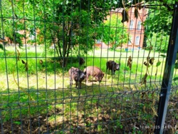 1121bc32-2adb-4d23-997a-11fa284698ce