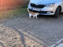 804821ab-0cca-4246-9b5f-a6ccab3900eb