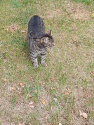 715086b1-2ad4-4f49-a5bc-4ebedbc4652c