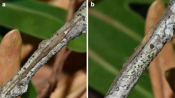 d5b65245-dcfd-4ea1-a588-4bd8b6db3444