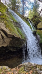 eac1ae47-a8bd-4e8a-b5c9-fafedf77c153