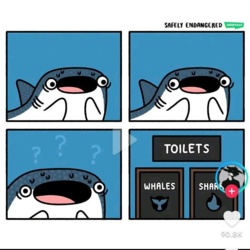 11283e05-f595-4df0-811a-1d9e0ea707ac