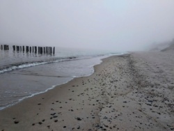 e463c389-7eeb-47a8-be31-e03c356eb62f