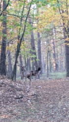 465d2cf1-d2dc-40a6-b16a-99cd2e89ff82