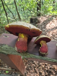 79c6fa1a-0cbb-4d0b-90d0-4183cbceba0a