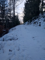 b031a84d-db30-4556-9022-8953f14a8064