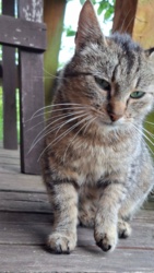 b7272307-c987-41ad-82cc-aeb9a50af007