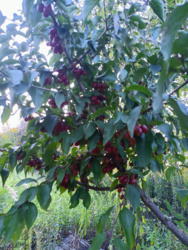 72195ce7-decc-4678-94a4-6b22176807a9