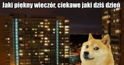 cd408da4-c15a-46b0-91d1-ceb15a3539c0