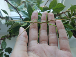 437d83c6-f497-4ae2-8b18-84fc6379fe3e