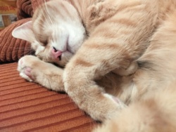 41abe005-77de-48cc-a4bc-0e756ec84017