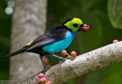 49483a27-e28f-4e5c-a0e7-5d608f05155e