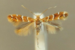 dc7e6cc6-8361-4d2d-8728-ae775a26759a