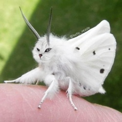 418ec151-34ad-4426-889e-97aa4e3645b3