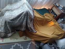 c32f3457-d7a1-4de4-8637-950884dda470