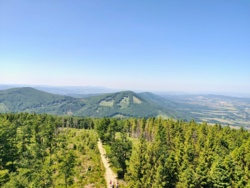 7e7b5492-7a48-443d-8de6-138b89570ddc