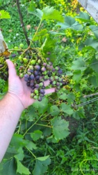 275ae783-b9ab-43de-872f-f4af3688483d