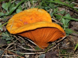 05de4f37-b303-4dd2-b005-71c2f379bd5e