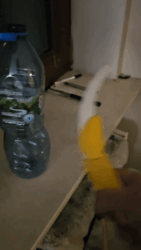 d9233fb7-9e32-4c0f-be84-143e365ce757