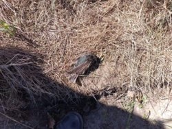 008c918c-1119-4906-a01c-e1883e4facd6