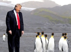 49070126-761b-4602-93ad-e9069c9c474c