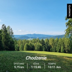 2a03fc3e-e403-4aa1-910b-2927f76b048b