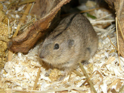 0f939aaf-5356-4610-bbb9-778997295417