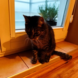 8fc6933a-ad12-416c-920f-c66500e493fa