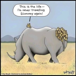 fa9b53de-3d16-4331-9e6f-357204a669c7