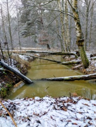 7ee31bbe-203f-4513-8caf-58eeb79aecb8