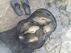 0fa09fe1-ba02-4371-b539-7a23624262f5