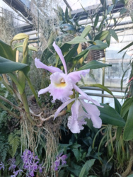 7078e173-acf4-4c3e-b9c3-0420f3b137ec