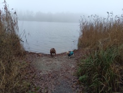 86079996-6c64-4269-8b1e-a821a039b0bb