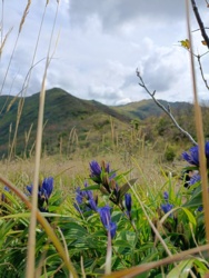 9aca8838-a0ef-43ed-8a37-644134813bbe