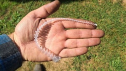 176ef80b-8a71-446d-94a1-a8a1689e74a2