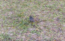 a77f1068-5881-49af-b007-1ef6fe340a71