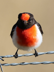 b9ee85ac-7eb9-4dcd-a29b-e886f4b33754