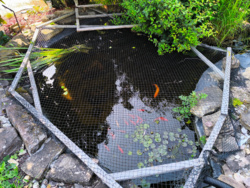 972e884f-b32c-4820-81b0-e244e7c40709