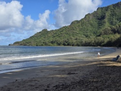 5174579e-2be1-4a04-802f-aa9de76a41ae