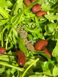 6a412936-143c-4b81-9b4b-cb93ae9e802c