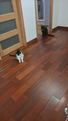 236e9f50-4370-438c-9373-376150717b3c